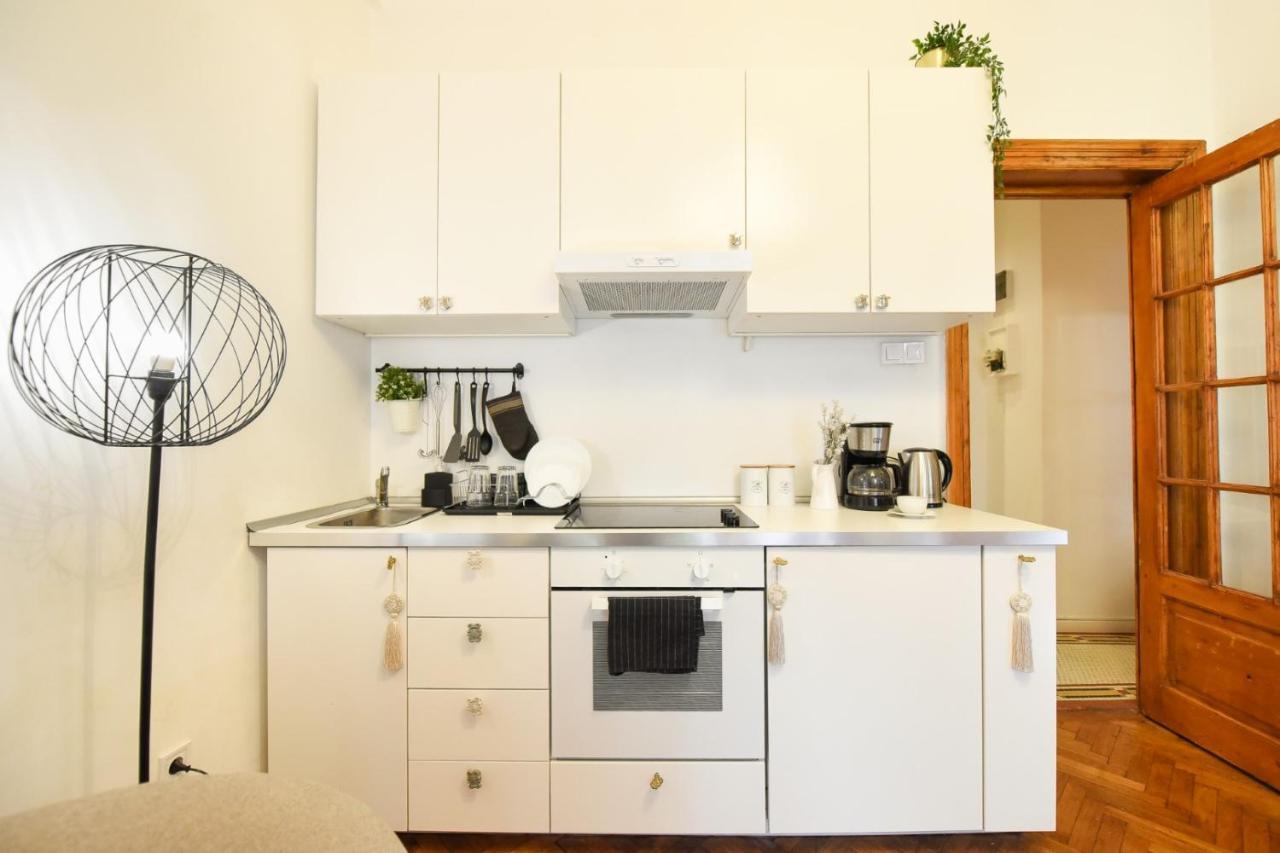 Vintage Elegance, Modern Comfort: 1Br Apartment Overlooking Calea Victoriei Букурещ Екстериор снимка